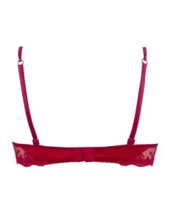 Soutien-gorge Corbeille Lise Charmel Splendeur Soie (Splendeur Rouge) 15 Soutien-gorge Corbeille Lise Charmel Splendeur Soie (Splendeur Rouge) -Soutien Gorge Soldes soutien gorge corbeille lise charmel splendeur soie splendeur rouge 5