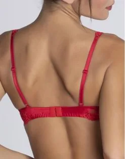 Soutien-gorge Glamour Lise Charmel Splendeur Soie (Splendeur Rouge) -Soutien Gorge Soldes soutien gorge glamour lise charmel splendeur soie splendeur rouge 4